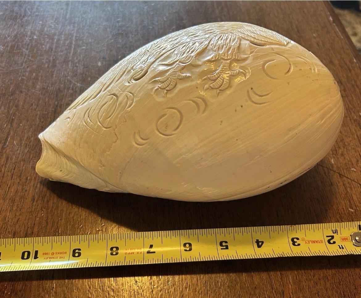 Large Carved Melo Melo Shell with Bird Motiff - 10 inches long