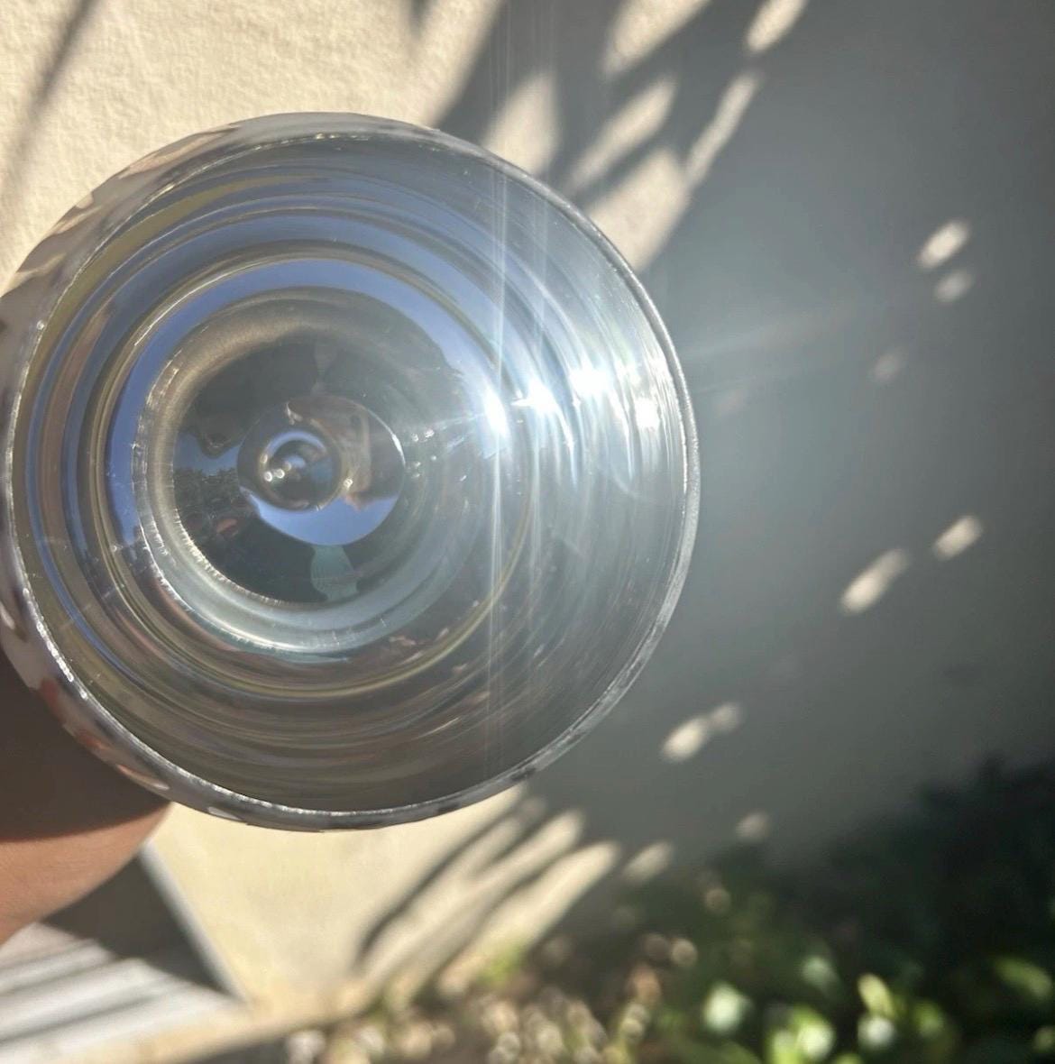 Pier 1 Imports Zebra Balloon Wine Glass, Amber Stemware, Hand-Blown Safari Chic