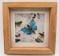 Julie Alice Chappell Circuit board butterfly - Signed and Framed