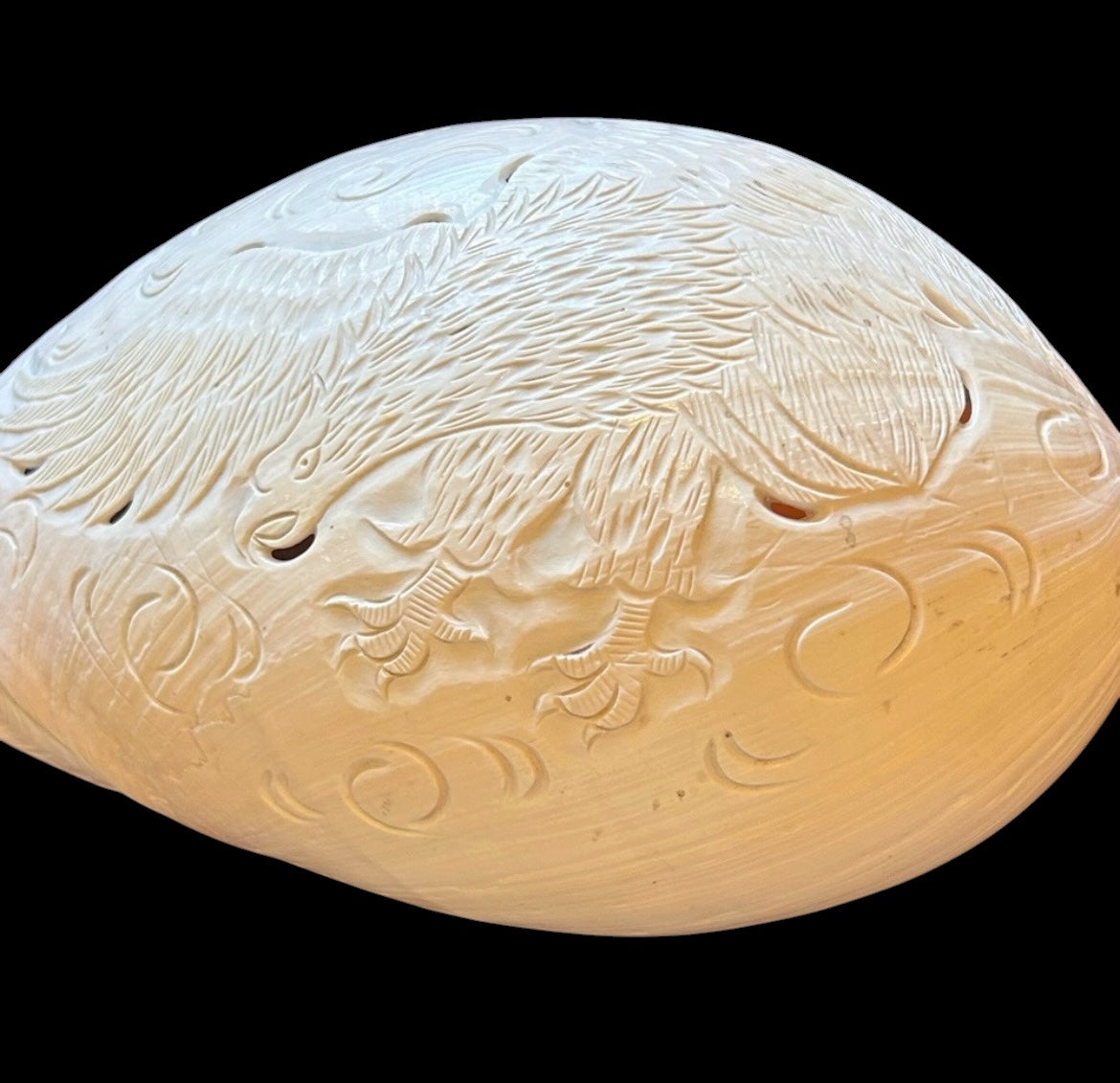 Large Carved Melo Melo Shell with Bird Motif