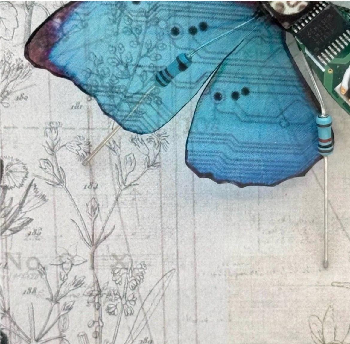 Julie Alice Chappell Circuit board butterfly - Signed and Framed
