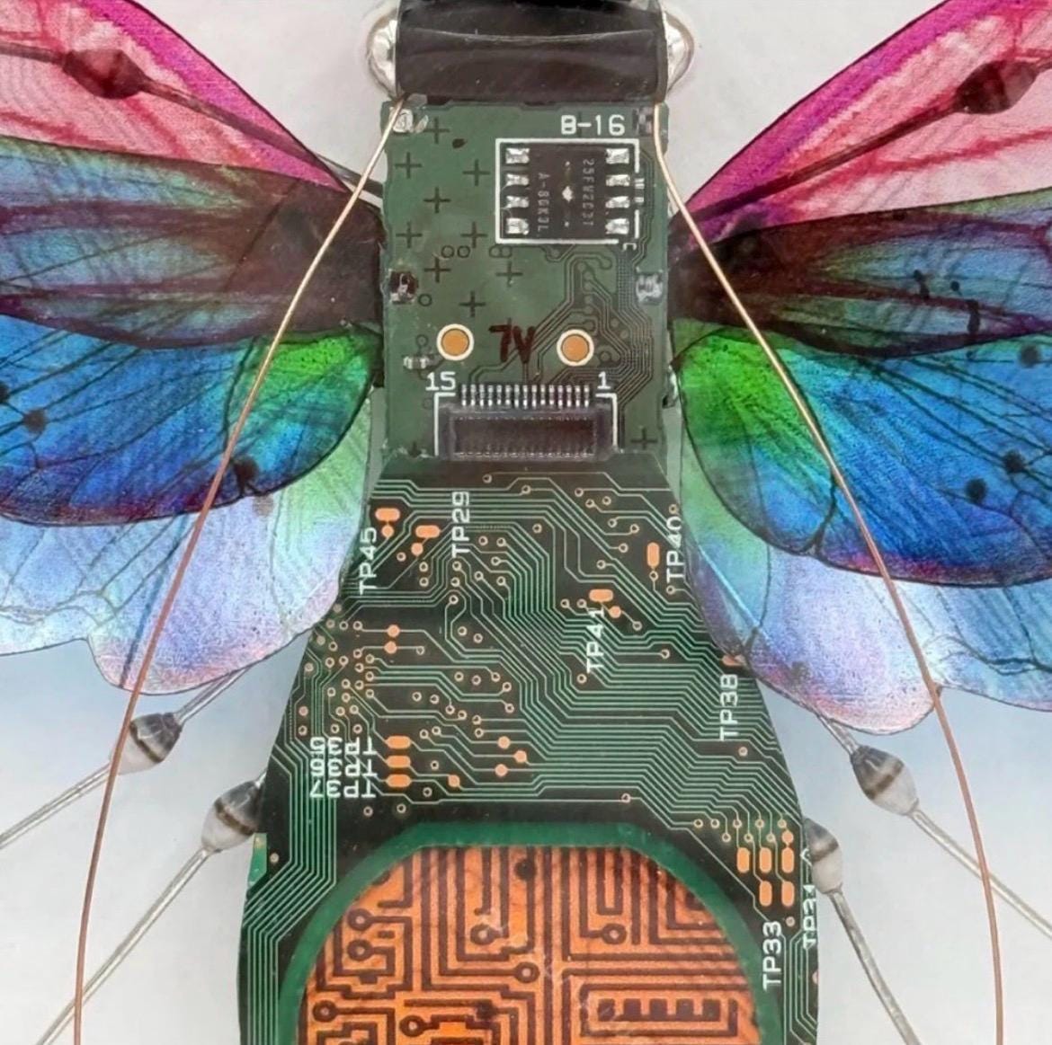 Circuit Board Insect Sculpture, Julie Alice Chappell Art - Wood Framed