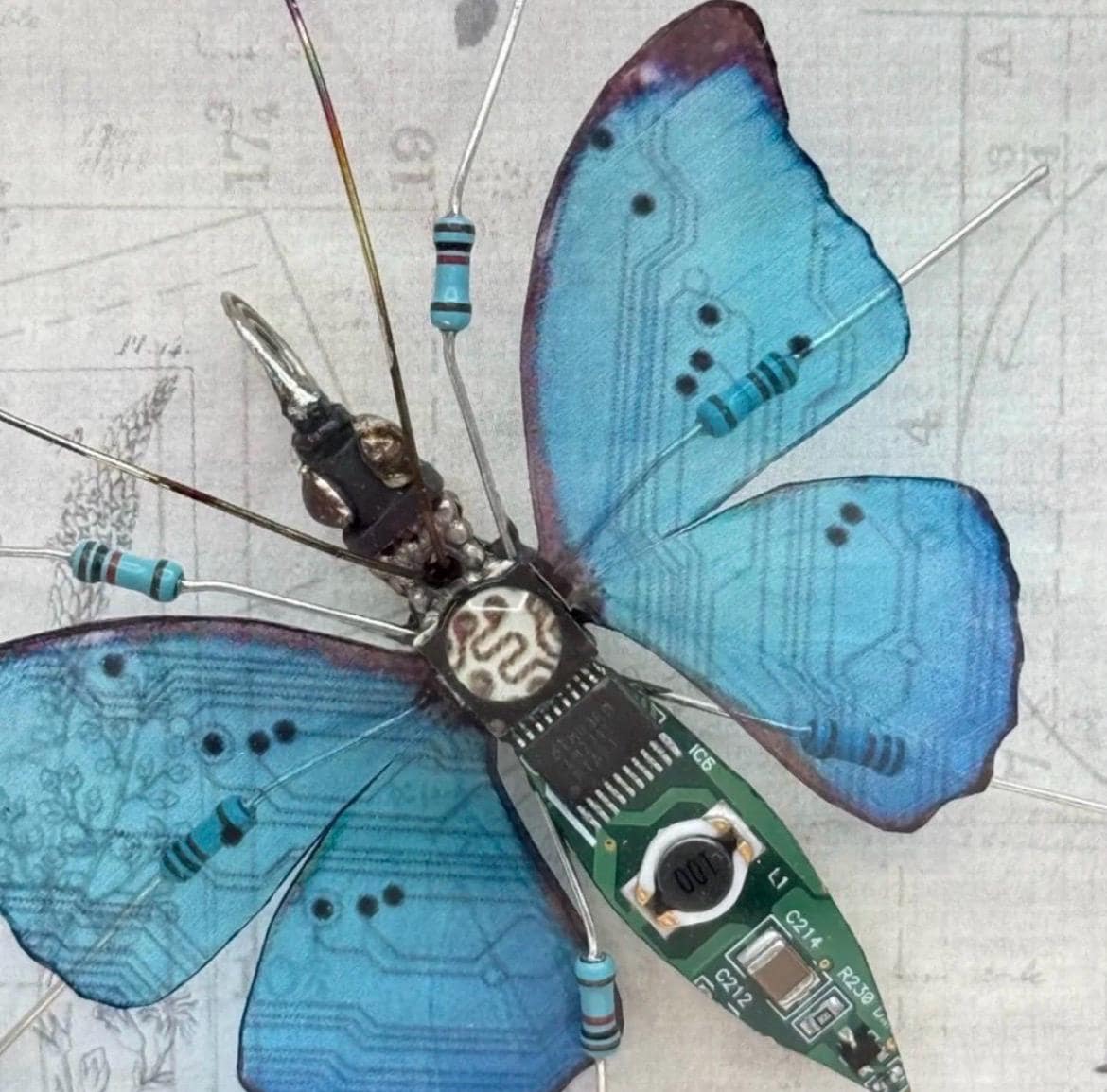 Julie Alice Chappell Circuit board butterfly - Signed and Framed